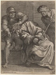 Crown of Thorns